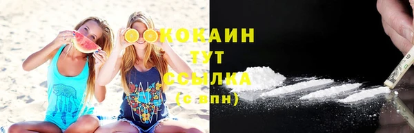крисы Алзамай