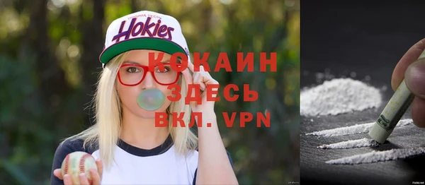 индика Абдулино