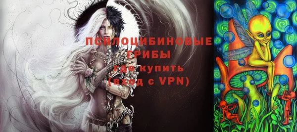PSILOCYBIN Алексеевка