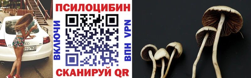 Галлюциногенные грибы Psilocybine cubensis  Кирс 